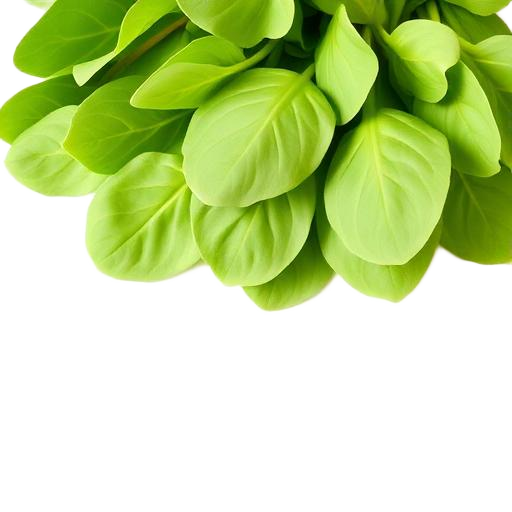 Spinach